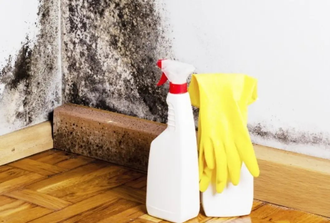 除霉劑推薦