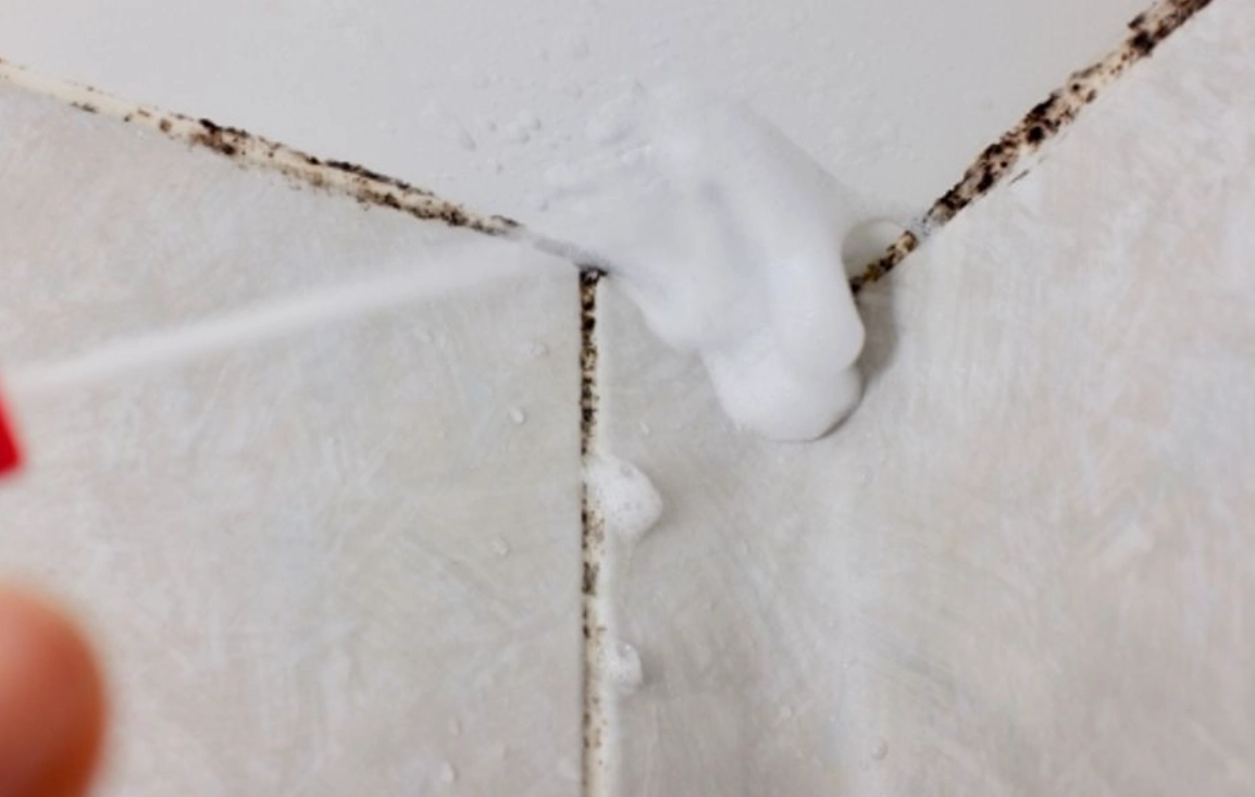 浴室磁磚發霉處理