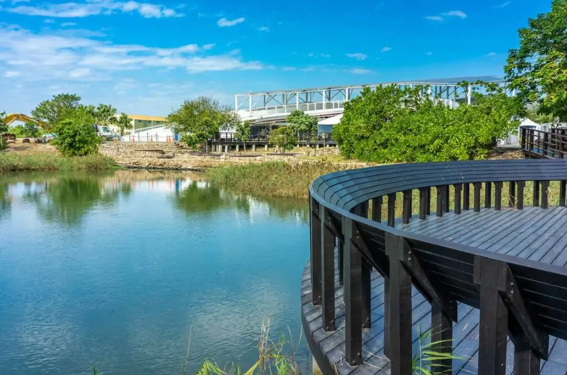 口湖景點 口湖景點