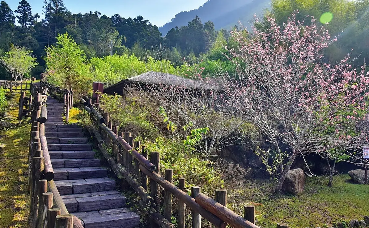 奮起湖阿里山公車 奮起湖阿里山公車