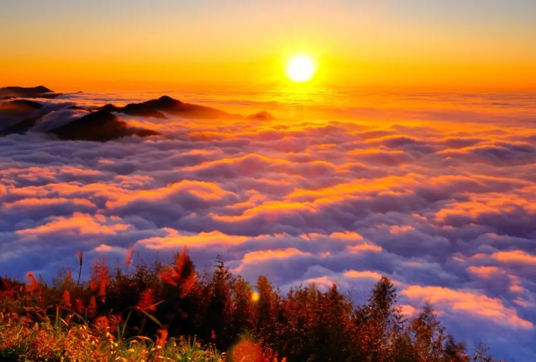 奮起湖到阿里山交通時間 奮起湖到阿里山交通時間