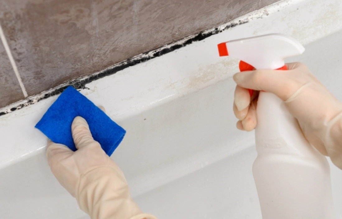 黴菌清潔 黴菌清潔