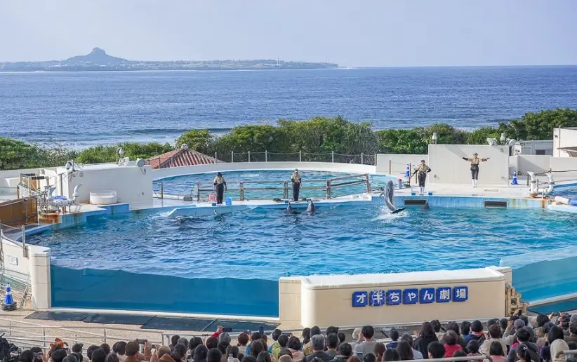 沖繩親子景點 沖繩親子景點