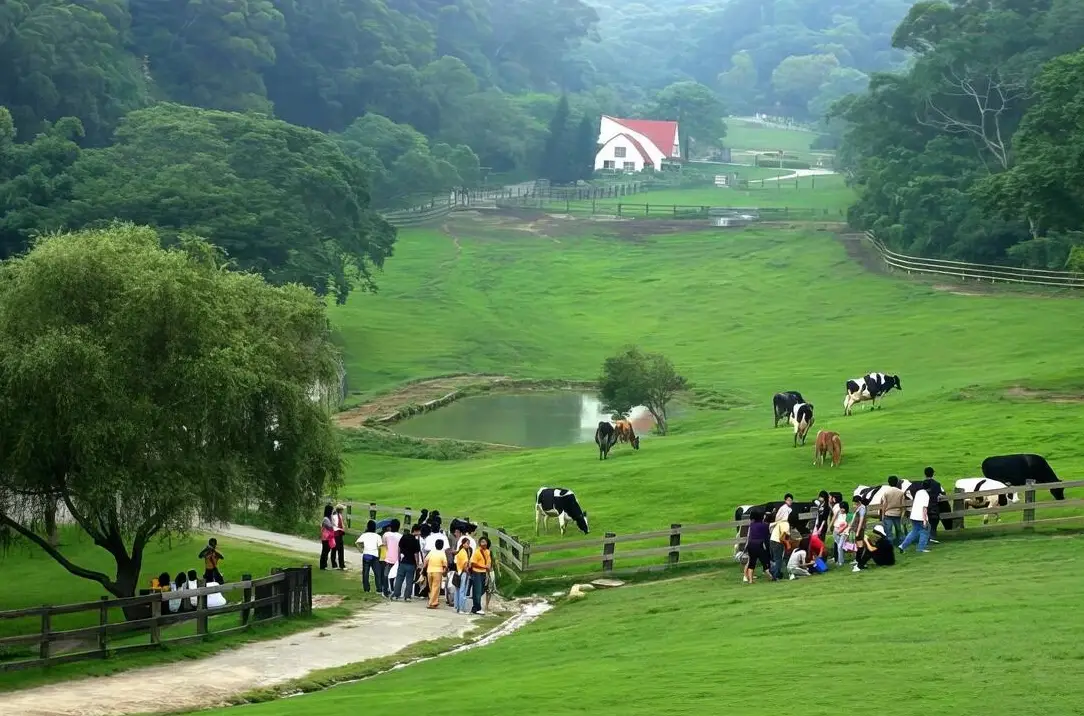 親子農場 親子農場