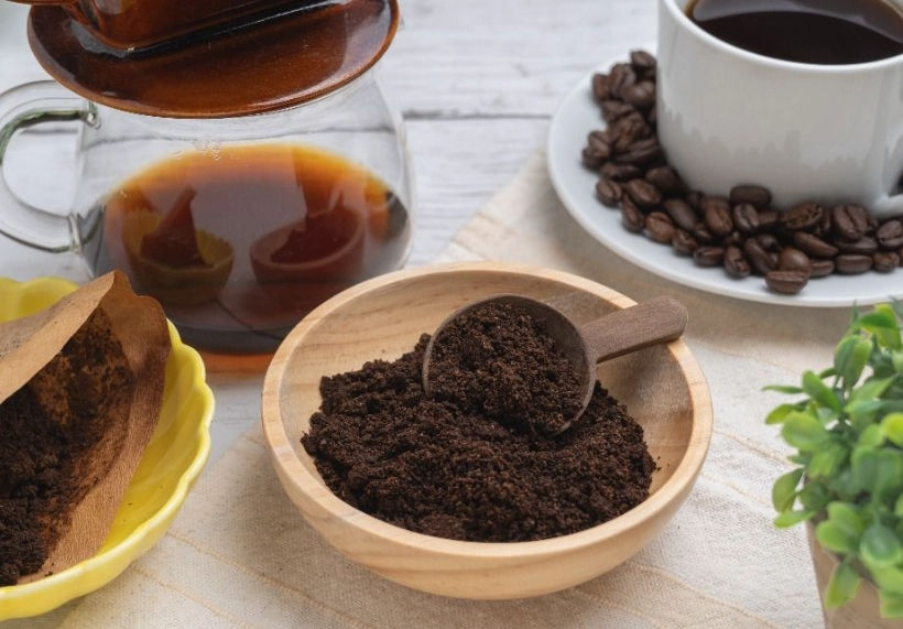 咖啡渣堆肥失敗 咖啡渣堆肥失敗