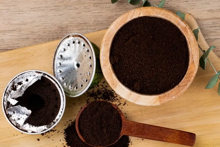 咖啡渣堆肥比例 咖啡渣堆肥比例