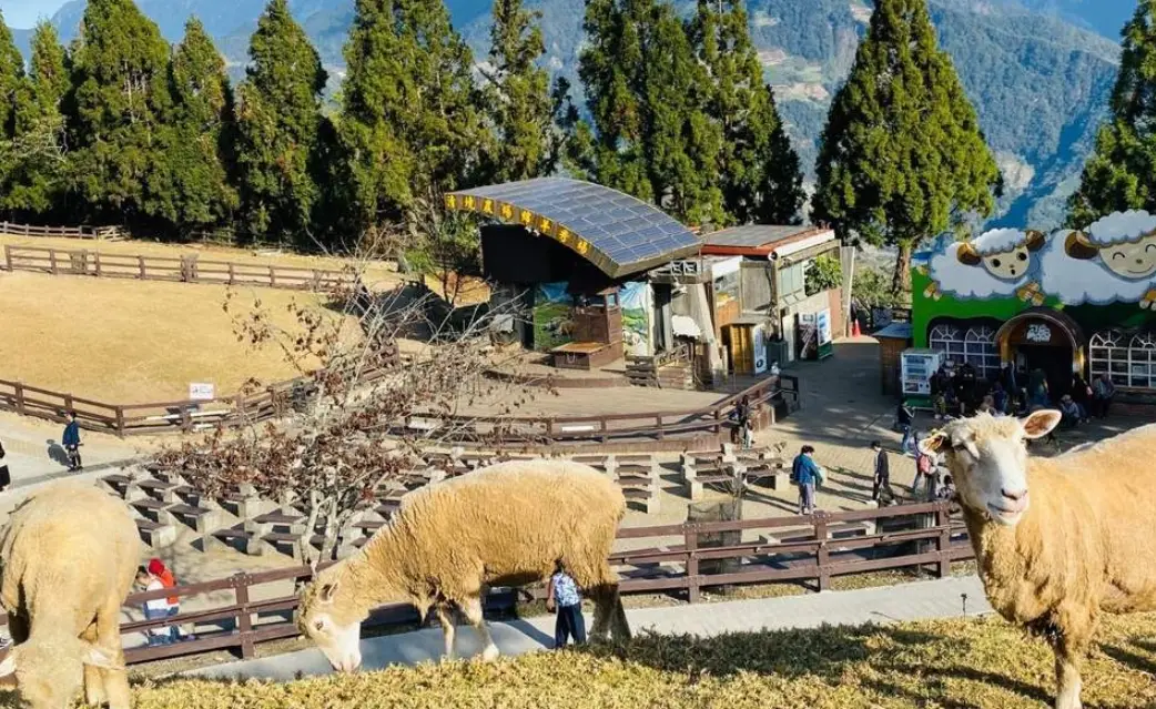 台灣農場推薦 台灣農場推薦