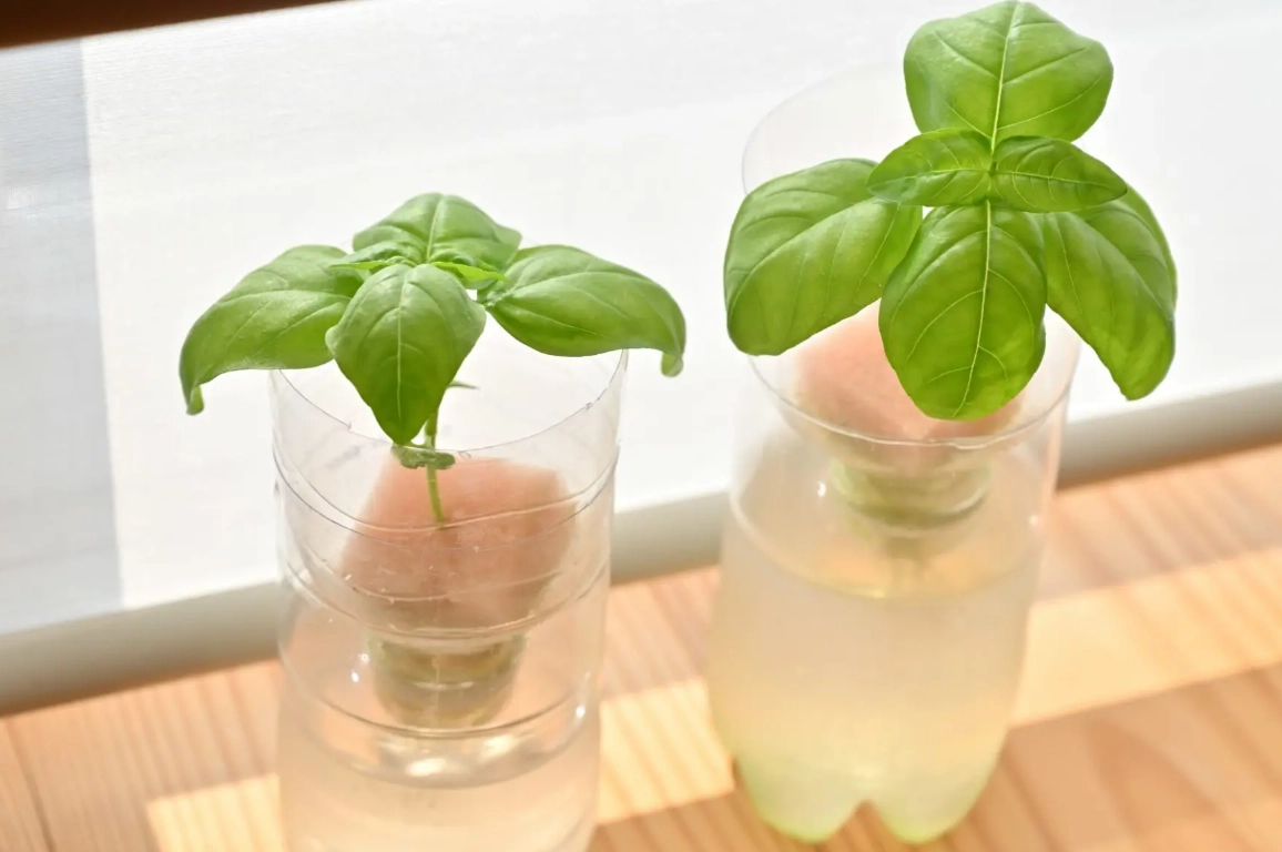 水耕營養液配方