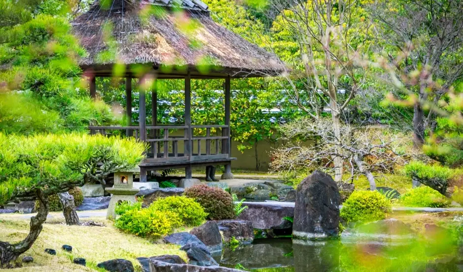 庭院灌木修剪 庭院灌木修剪