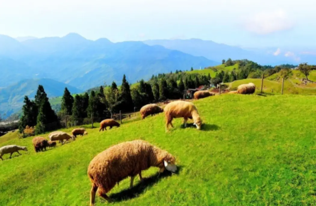 農場一日遊 農場一日遊