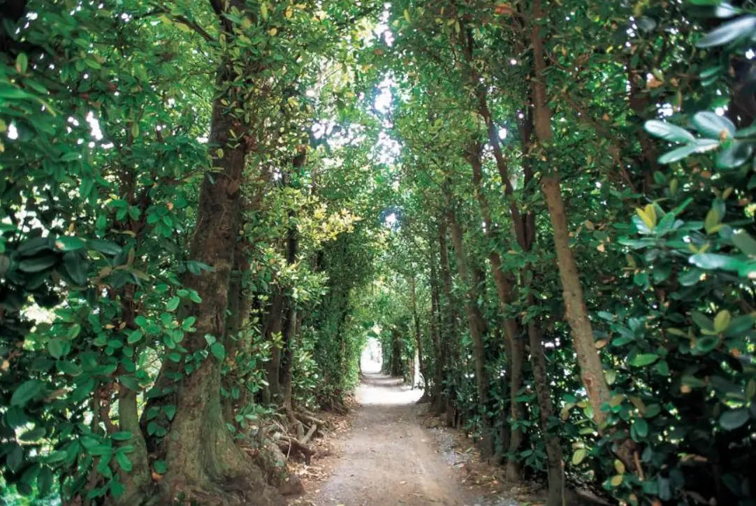 沖繩打卡景點 沖繩打卡景點