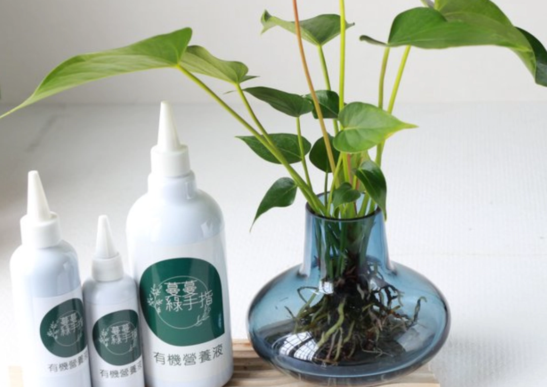 水耕有機營養液選購與使用全指南：提升家庭種植成功率