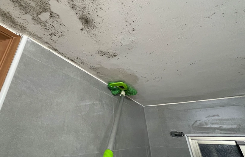 天花板掉漆怎麼辦