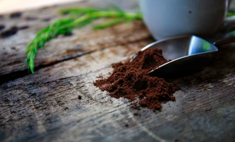 咖啡渣堆肥失敗 咖啡渣堆肥失敗