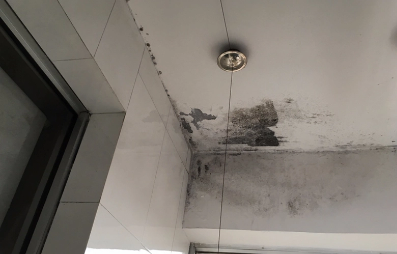 天花板粉塵處理