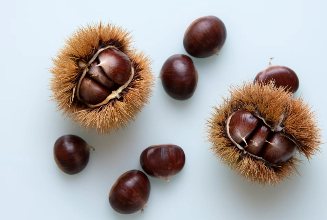 栗子好處壞處
