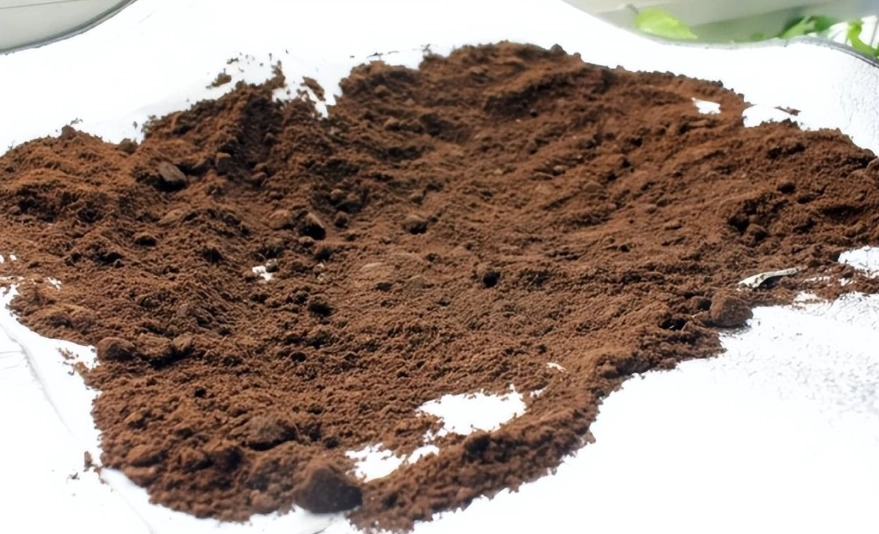 咖啡渣堆肥失敗 咖啡渣堆肥失敗