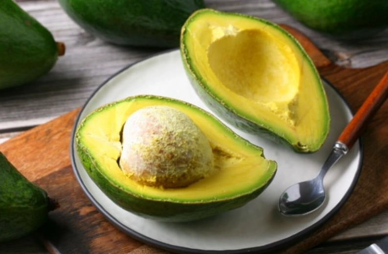 酪梨 種植 方法