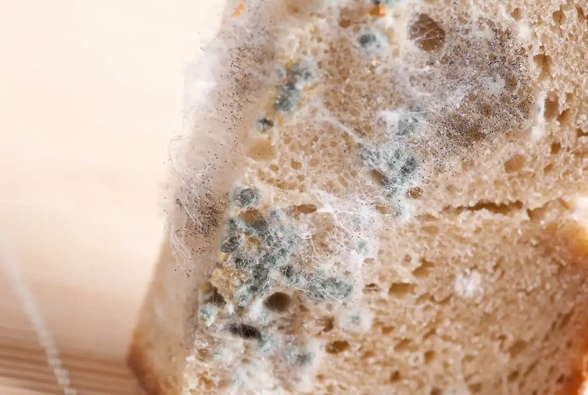 發霉的食物吃了會怎樣