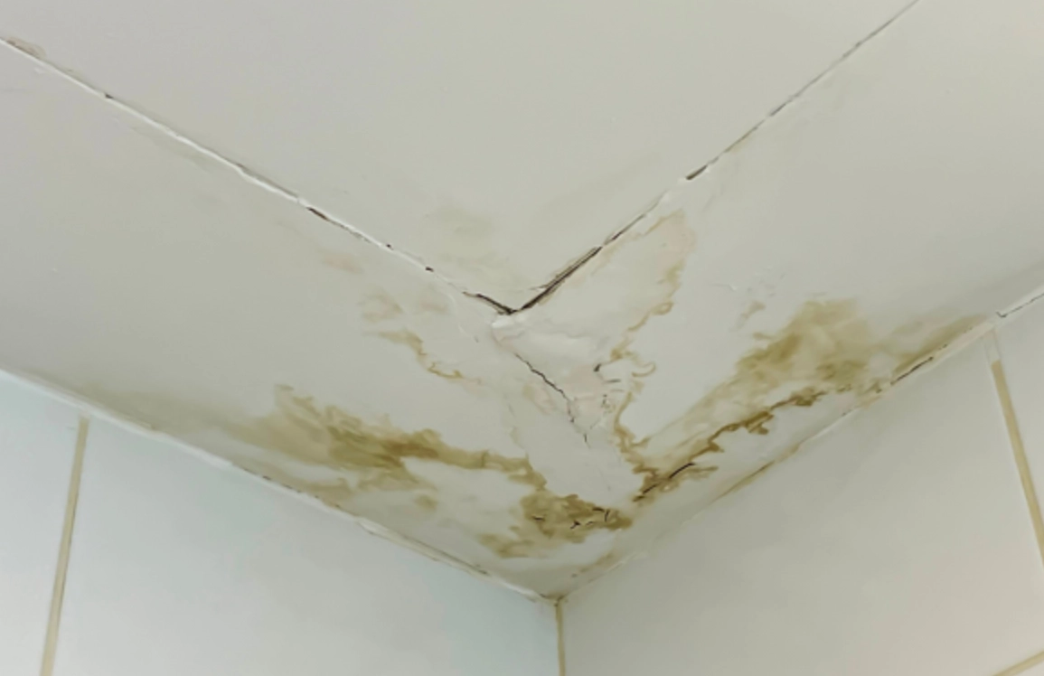 浴室防霉 浴室防霉