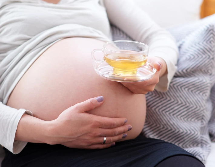 菊花茶什麼時候喝