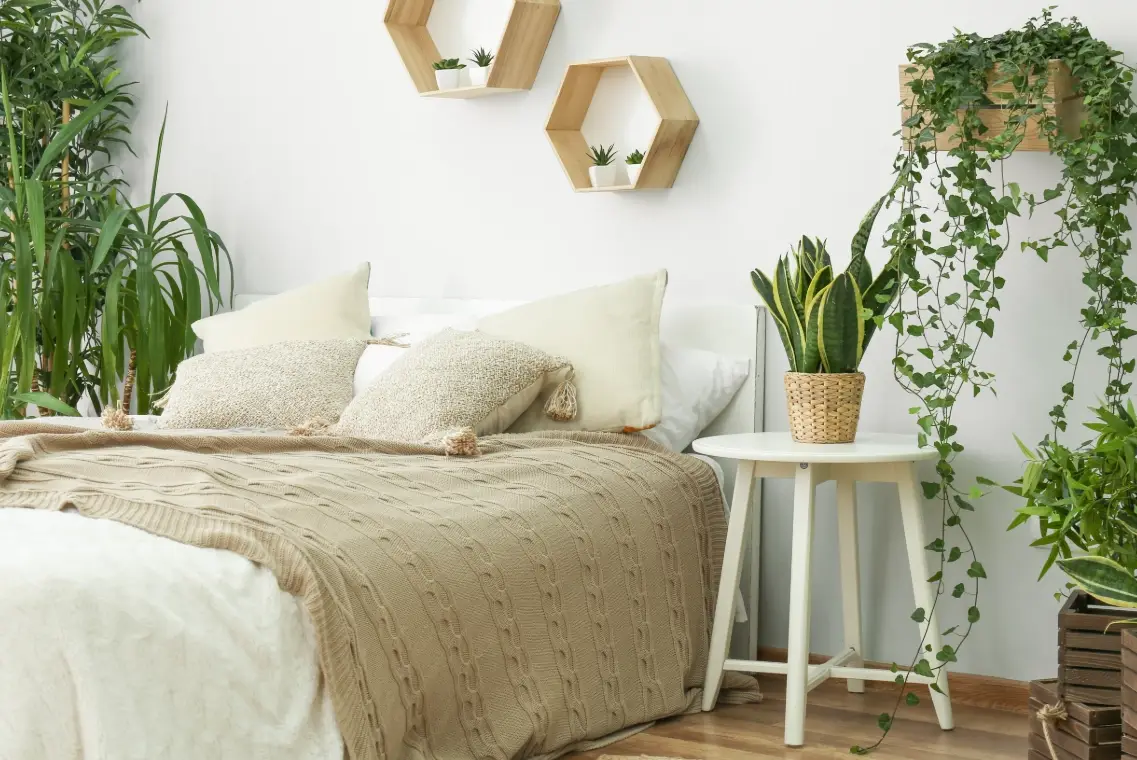 臥室放植物禁忌