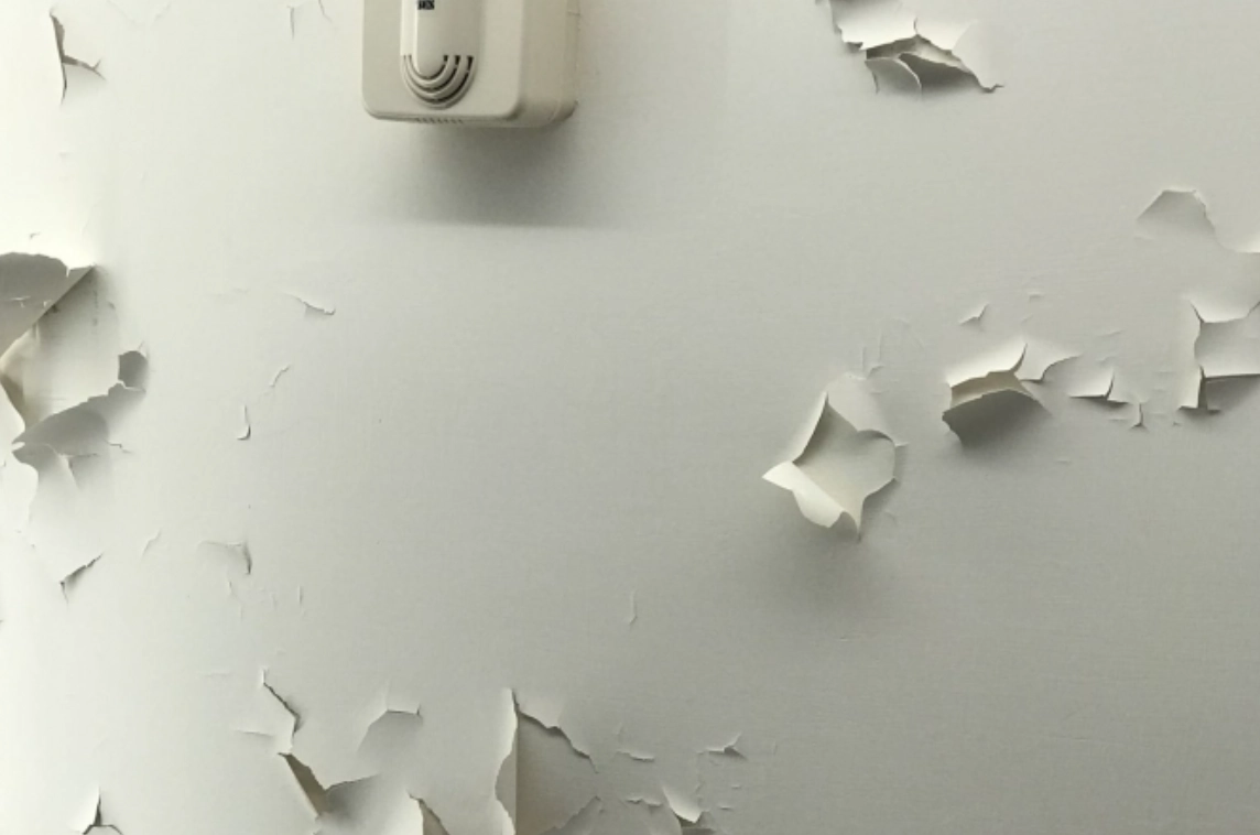 天花板油漆剝落修補