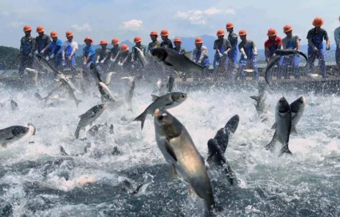 夢到很多大魚 解夢