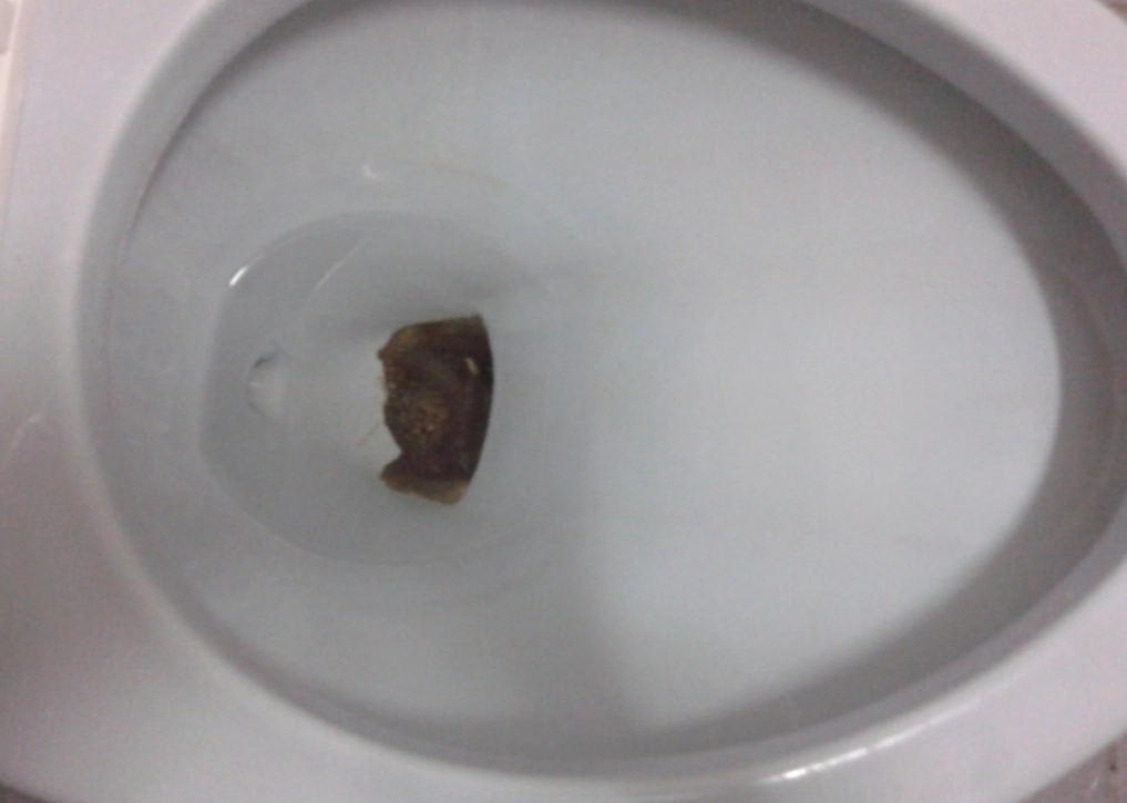 馬桶黑垢原因