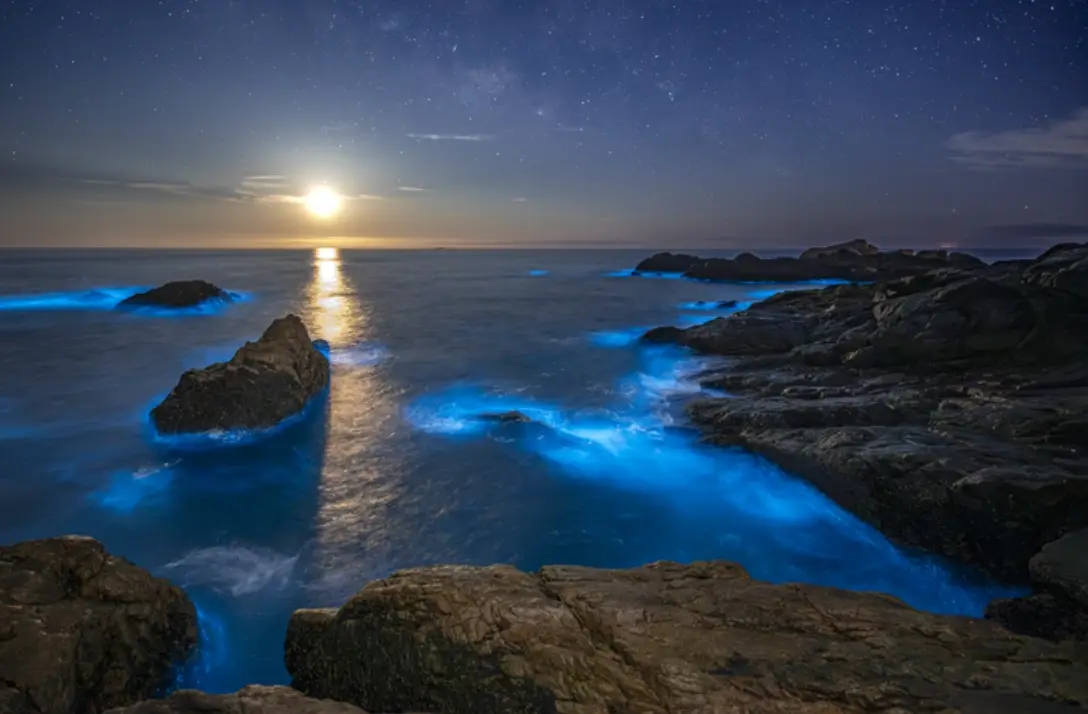 藍眼淚拍攝參數