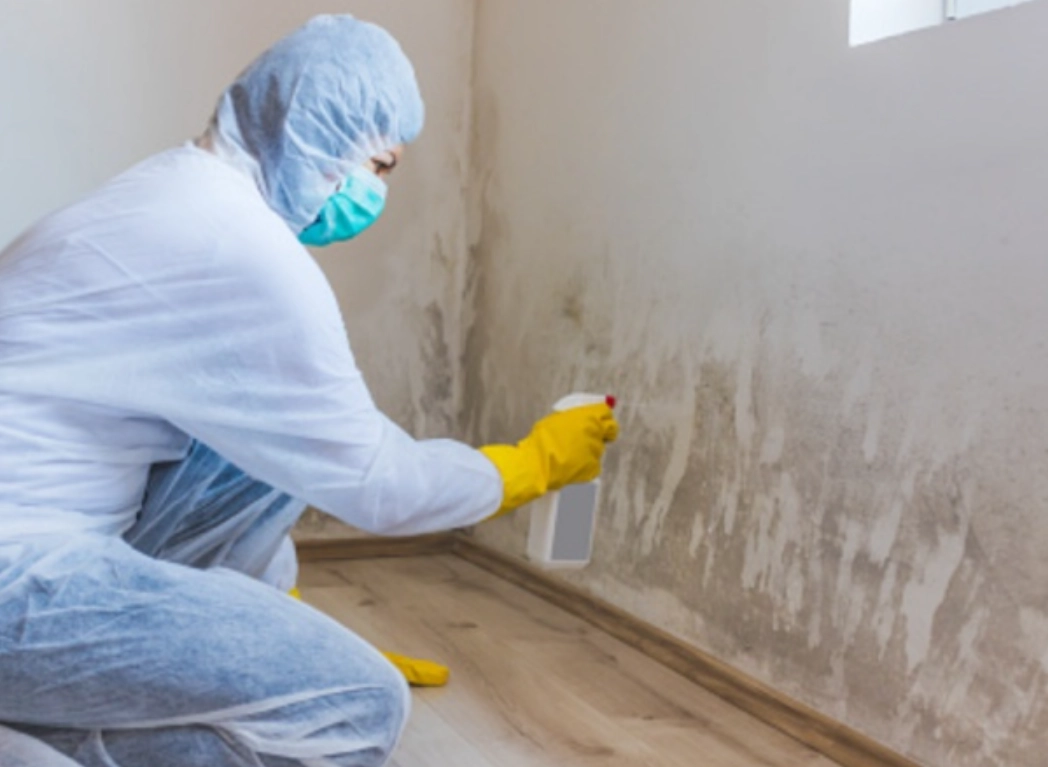 油漆牆壁發霉處理