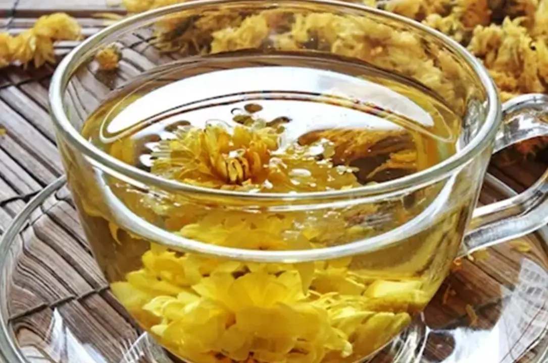 菊花茶的菊花可以吃嗎