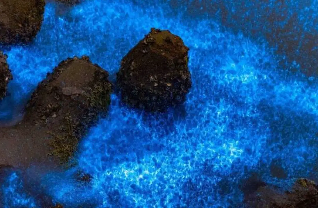 藍眼淚拍攝地點