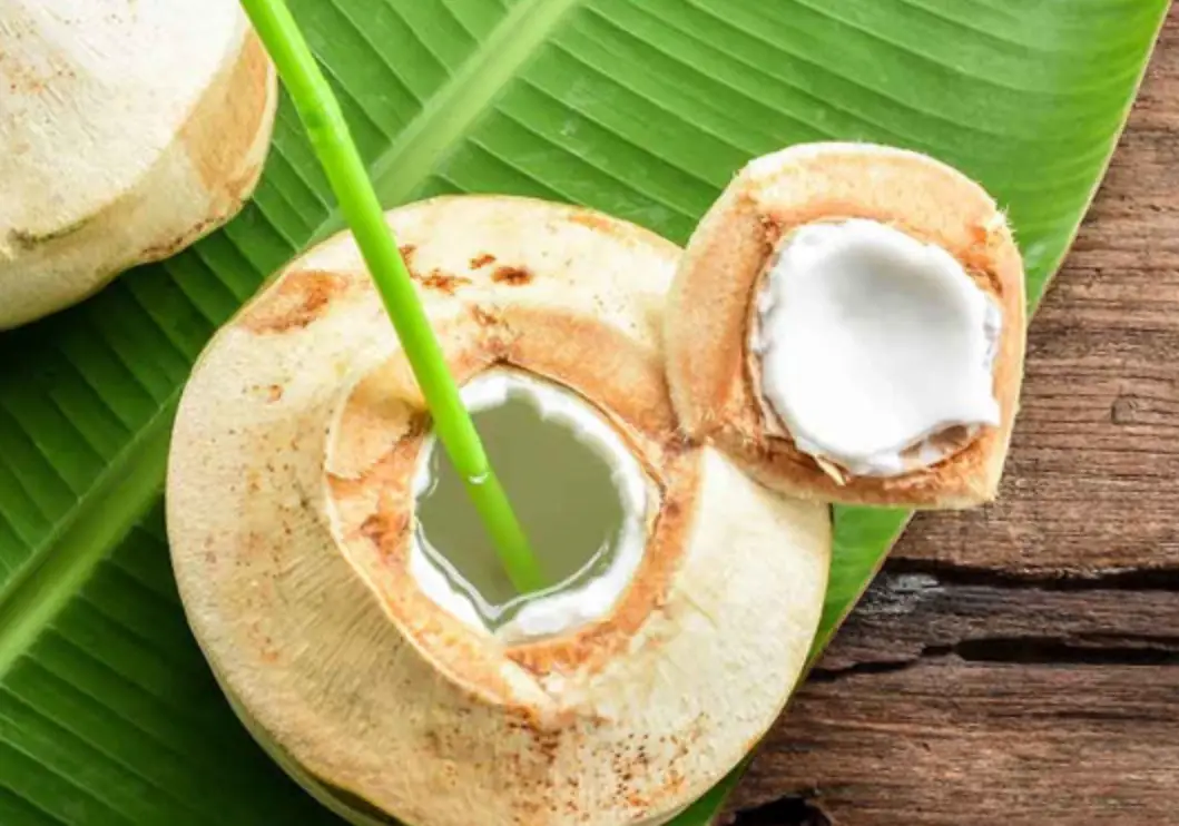 椰子水功效