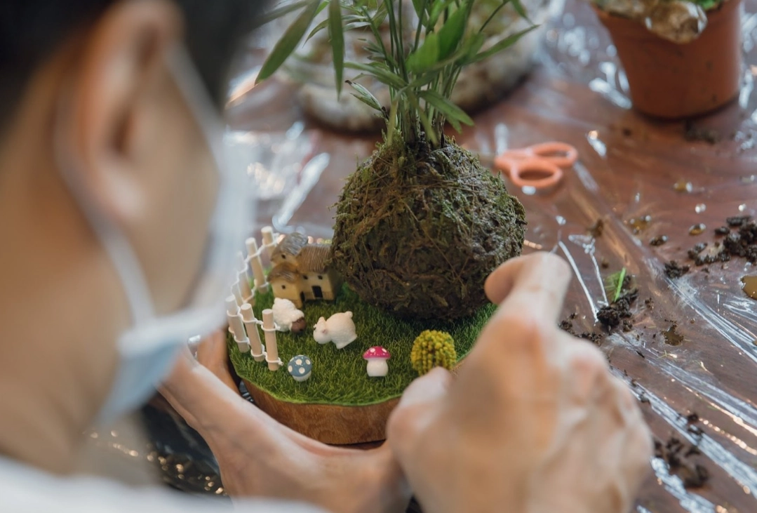 台北植物療癒課程