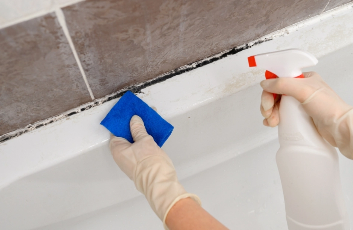 浴室霉斑處理