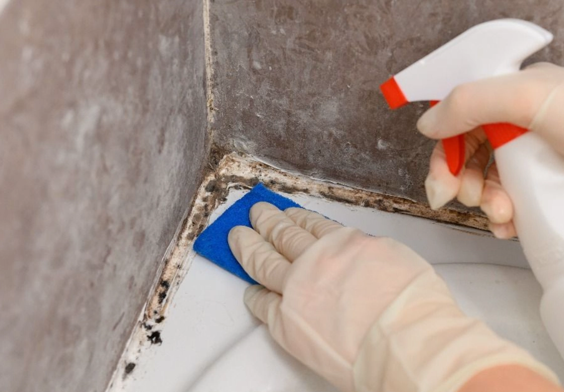 除霉方法 除霉方法