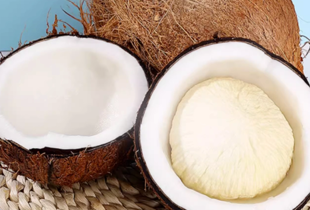 椰子肉禁忌 椰子肉禁忌