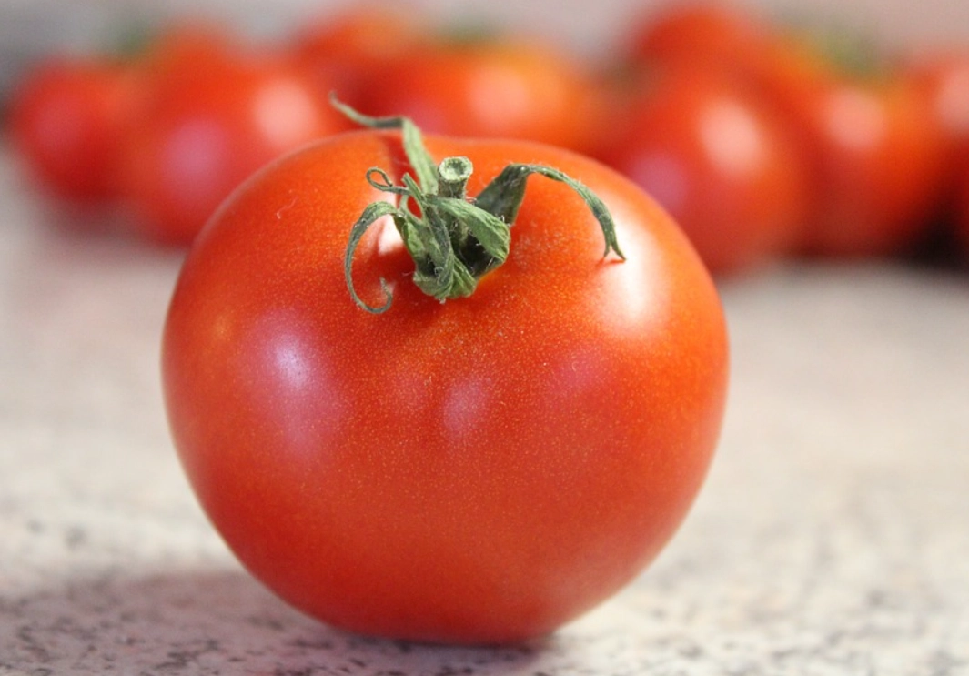 粉柿番茄 品種