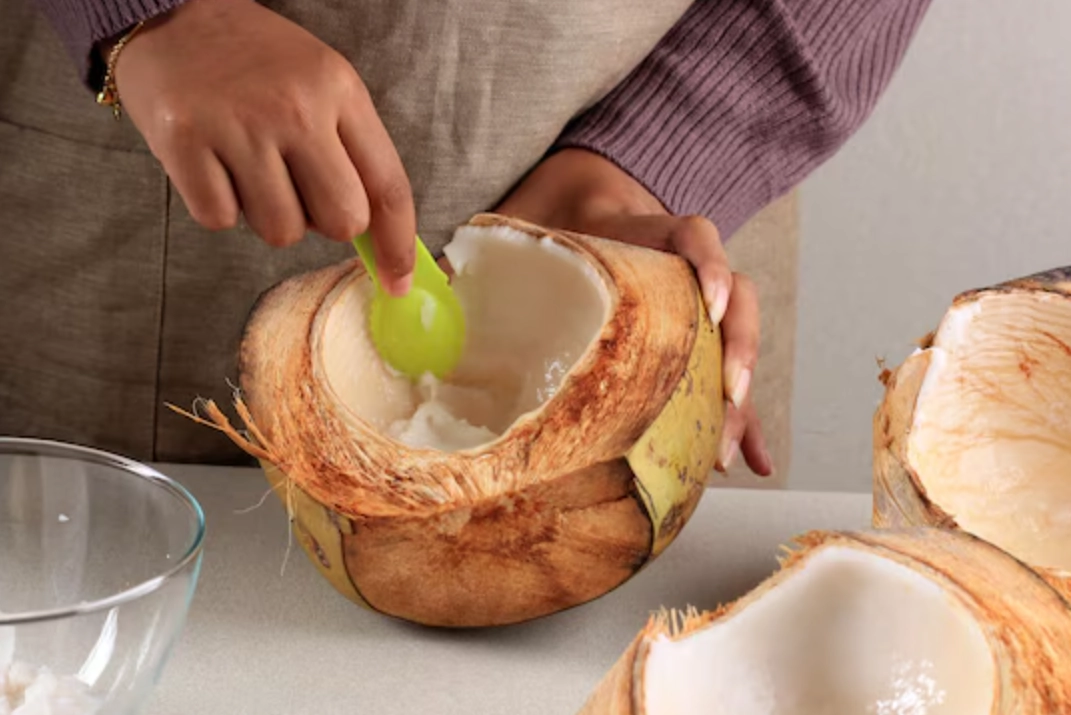 椰子肉熱量 椰子肉熱量