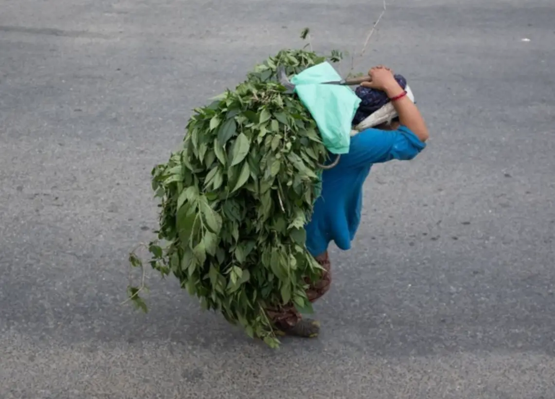 登山背包調整 登山背包調整