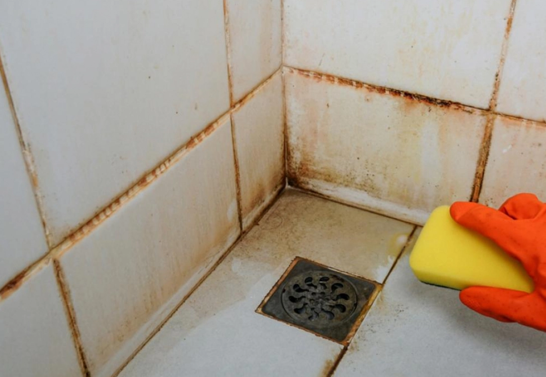 浴室磁磚清潔 浴室磁磚清潔