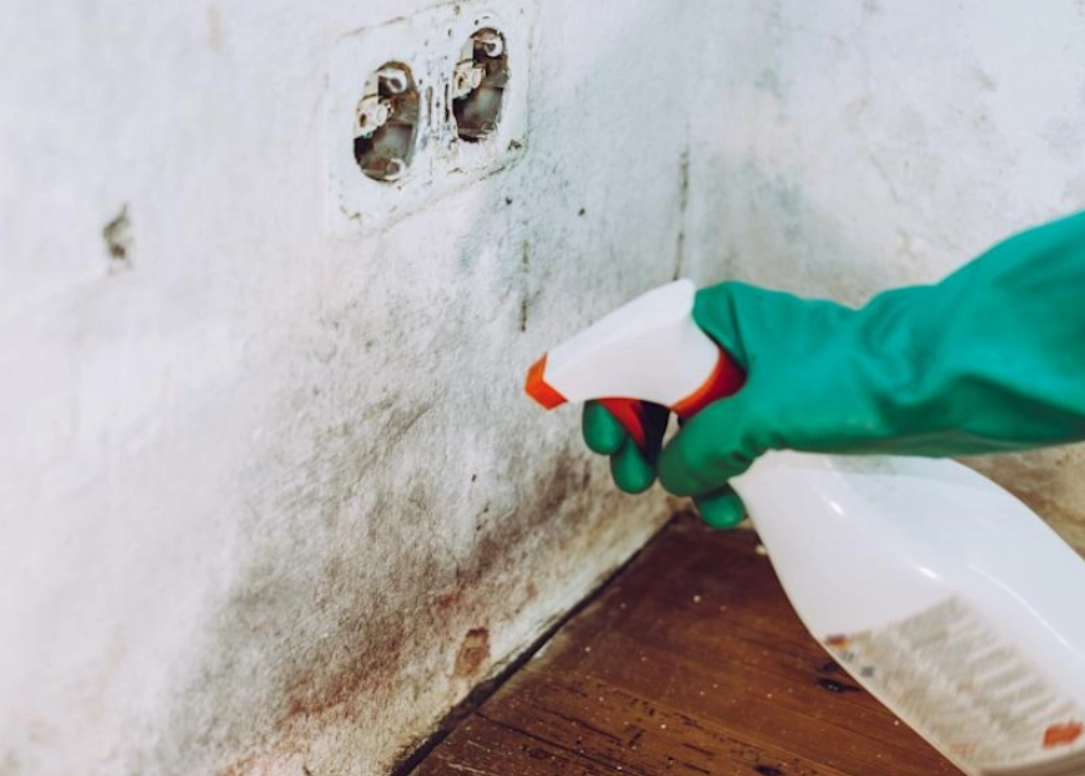 防霉技巧 防霉技巧