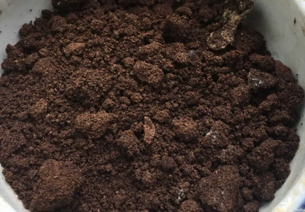 咖啡渣發酵全攻略：從入門到進階的實作指南