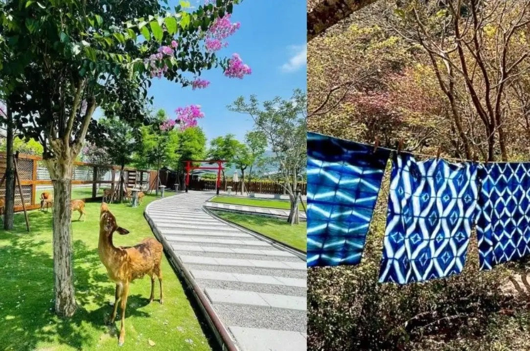 北部農場一日遊