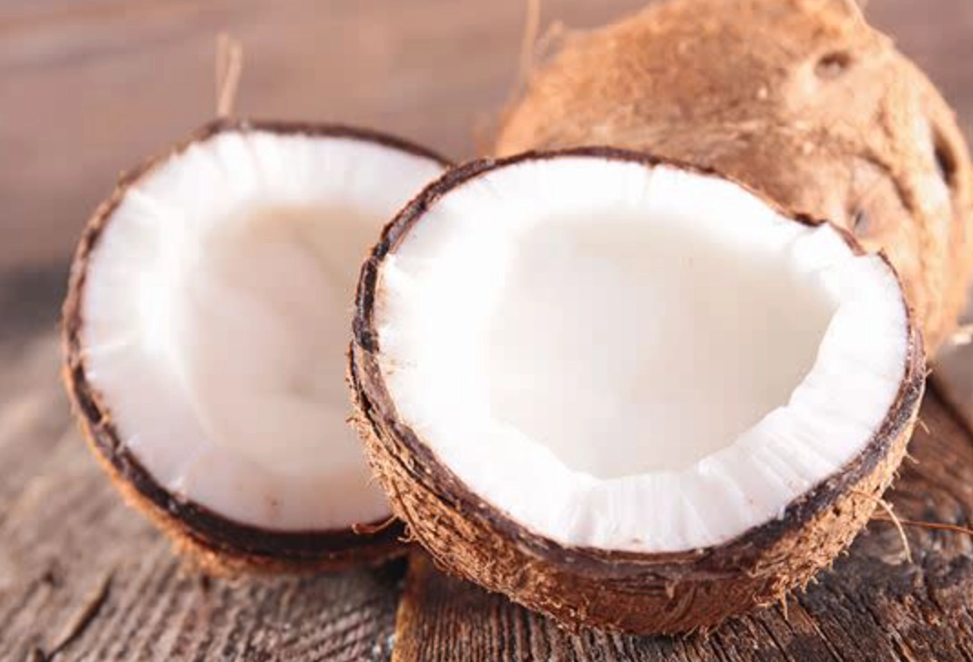 椰子肉禁忌 椰子肉禁忌