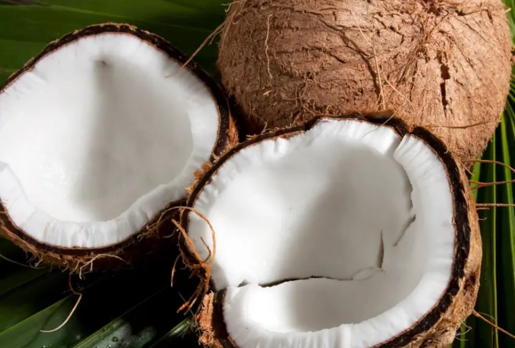 椰子肉熱量 椰子肉熱量