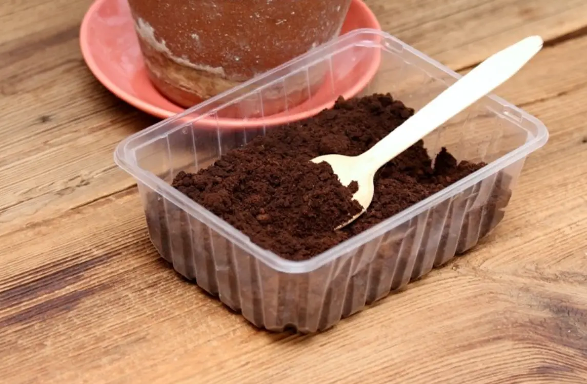 咖啡渣堆肥 咖啡渣堆肥