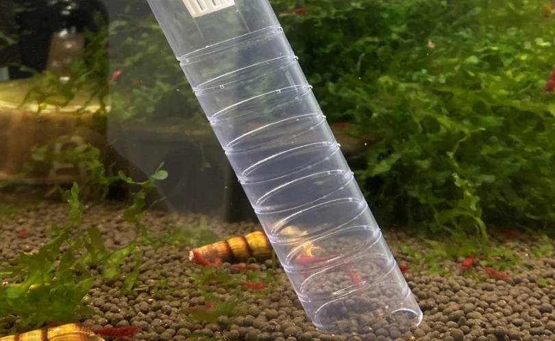 夢見魚缸 心理分析