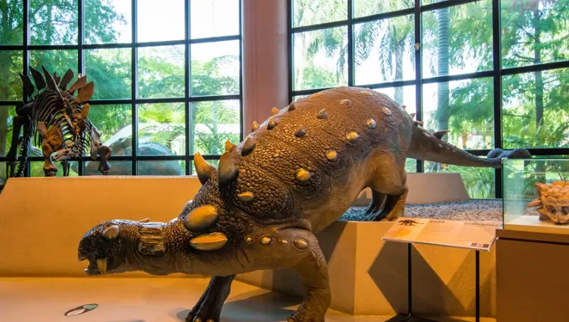 親子一日遊行程